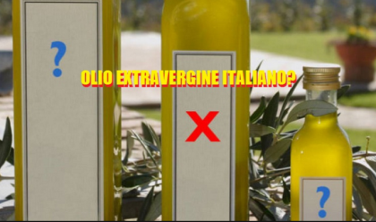 L’olio ‘made in Italy’ era prodotto ad Andria con olive greche e spagnole: i nomi delle aziende indagate L’olio ‘made in Italy’ era prodotto ad Andria con olive greche e spagnole: i nomi delle aziende indagate