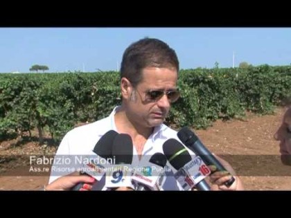 Nardoni si dimette dal CdA del Taranto Calcio . La scusa ? Le solite minacce di cui guarda caso non vi è mai traccia negli atti di polizia Nardoni si dimette dal CdA del Taranto Calcio . La scusa ? Le solite minacce di cui guarda caso non vi è mai traccia negli atti di polizia