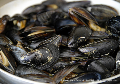 6 persone denunciate per commercio abusivo di frutti di mare item-thumbnail