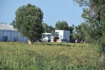 Matrimonio milionario indiano in Puglia. Aumentano le proteste sul web, ma le famiglie dei marò calmano gli animi item-thumbnail