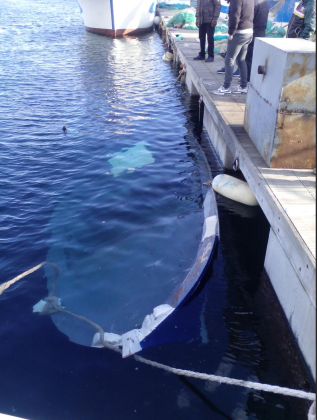 Affondato un altro peschereccio nel Mar Piccolo. La Guardia Costiera e la procura indagano Affondato un altro peschereccio nel Mar Piccolo. La Guardia Costiera e la procura indagano