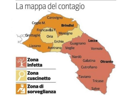 Xylella, il contagio si allarga fino al Tarantino. La nuova mappa dell’infezione item-thumbnail