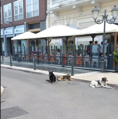 Quante parole inutili sul turismo a Taranto…spese da gente incompetente ! Quante parole inutili sul turismo a Taranto…spese da gente incompetente !