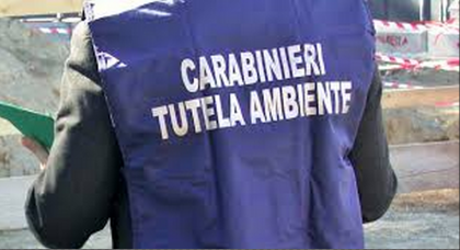 I Carabinieri dei NAS , del NOE, con Arpa ed Asl Taranto per la tutela dell’ ambiente I Carabinieri dei NAS , del NOE, con Arpa ed Asl Taranto per la tutela dell’ ambiente