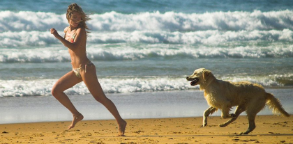 Il cane è il miglior amico dell’uomo, anche al mare. Via libera del TAR ai cani in spiaggia item-thumbnail