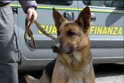 Controlli ed arresti antidroga della Guardia di Finanza di Taranto Controlli ed arresti antidroga della Guardia di Finanza di Taranto