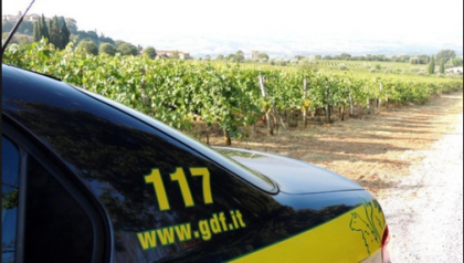 La Guardia di Finanza sequestra 400 kg di uva La Guardia di Finanza sequestra 400 kg di uva