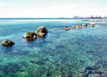 Taranto, la città degli ambientalisti (finti) a caccia di protagonismo Taranto, la città degli ambientalisti (finti) a caccia di protagonismo