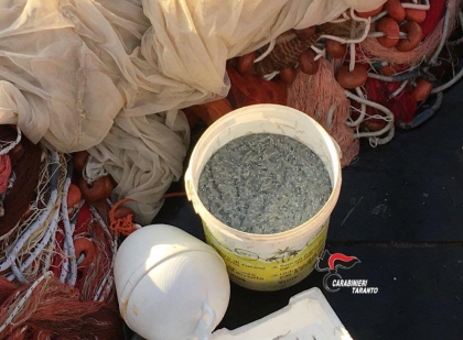 Pesca di frodo: sequestrati dai Carabinieri 10kg di novellame Pesca di frodo: sequestrati dai Carabinieri 10kg di novellame