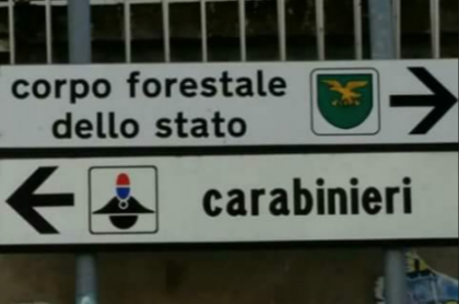 Il Corpo Forestale dello Stato annesso all’ Arma dei Carabinieri item-thumbnail