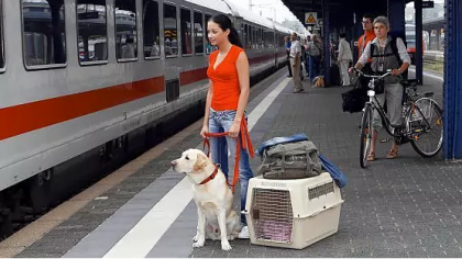 La Polfer garantisce la sicurezza nelle stazioni. Trenitalia: “Un successo i cani grandi in carrozza a 5 euro”. La Polfer garantisce la sicurezza nelle stazioni. Trenitalia: “Un successo i cani grandi in carrozza a 5 euro”.