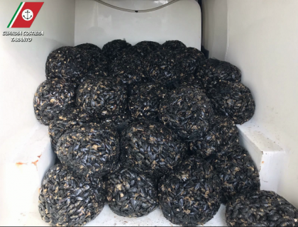 Guardia Costiera sequestra a Taranto 8 quintali di cozze nere nocive per la salute item-thumbnail