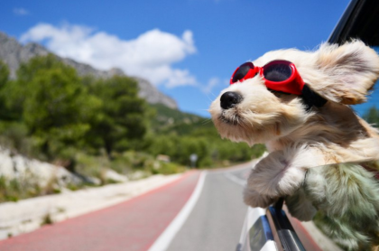 Il segreto della felicità è viaggiare: altro che matrimonio ! Il segreto della felicità è viaggiare: altro che matrimonio !