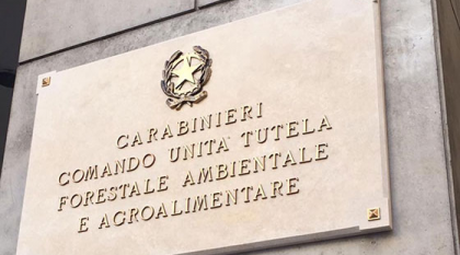 I Carabinieri rendono onore ai caduti in guerra e in servizio del Corpo Forestale dello Stato. I Carabinieri rendono onore ai caduti in guerra e in servizio del Corpo Forestale dello Stato.
