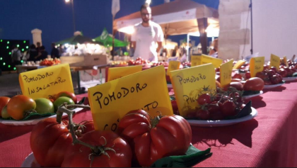Torre Canne, un successo le prime due serate della Notte Verde item-thumbnail