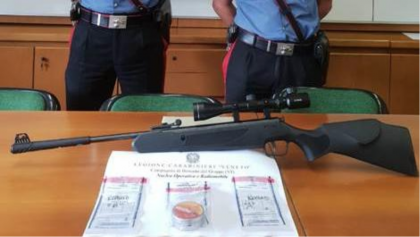 Persona spara ai piccioni ma colpisce operaio: lo avevamo detto… Persona spara ai piccioni ma colpisce operaio: lo avevamo detto…
