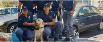 La Polizia salva a Napoli un labrador chiuso in auto sotto il sole a 40° La Polizia salva a Napoli un labrador chiuso in auto sotto il sole a 40°