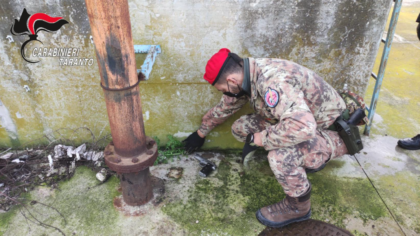 Controlli dei Carabinieri al mercato ortofrutticolo di Taranto Controlli dei Carabinieri al mercato ortofrutticolo di Taranto